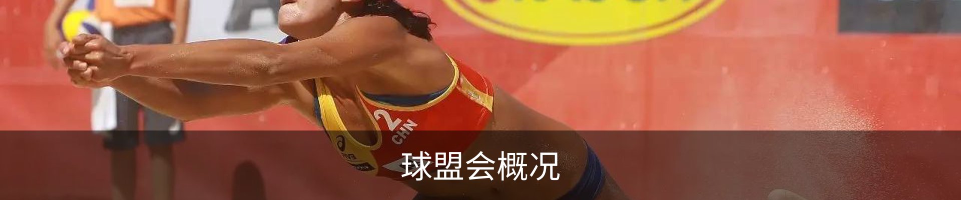 球盟会概况